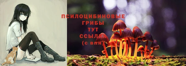 2c-b Абинск