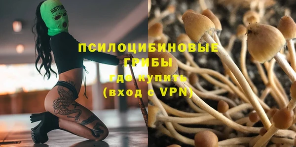 spice Алексин